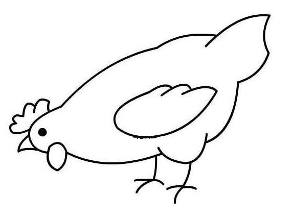 卡通母鸡怎么画 母鸡的画法简笔画图片-qqscb.com