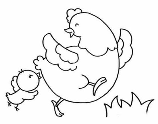 母鸡和小鸡的画法 母鸡寻找食物的简笔画图片-qqscb.com