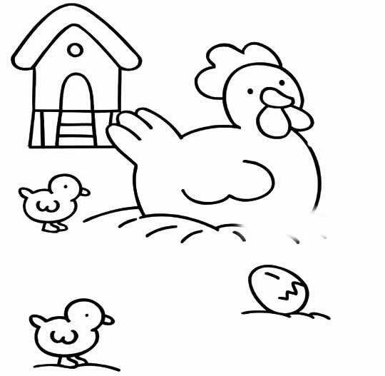 母鸡和小鸡的画法 母鸡寻找食物的简笔画图片-qqscb.com