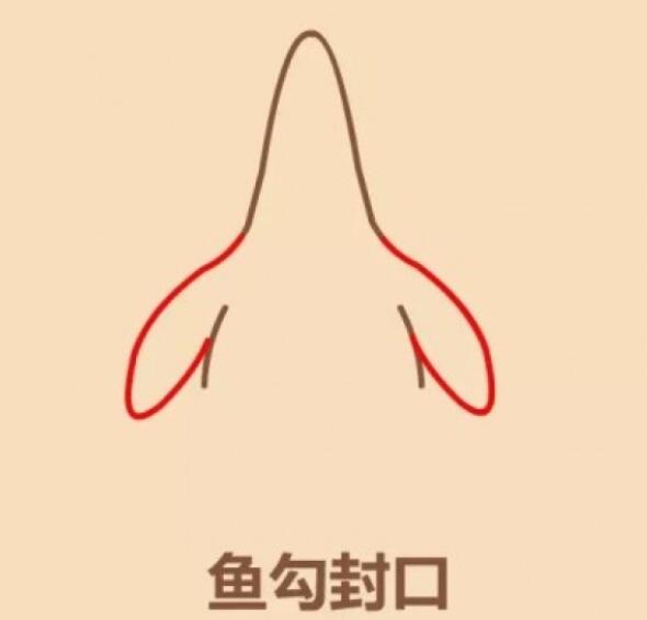 怎么画派大星涂色 简笔画派大星图解步骤-qqscb.com