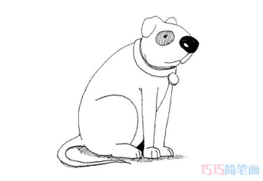 卡通小狗的画法 小狗简笔画图片步骤教程-qqscb.com