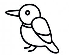 卡通小鸟怎么画 小鸟的画法简笔画图片