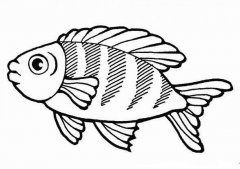 可爱的小鱼怎么画 小鱼的简笔画图片素描