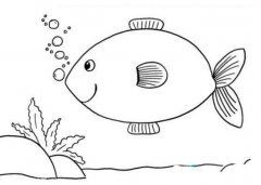 水中游的小鱼怎么画 吐泡泡小鱼简笔画图片素描