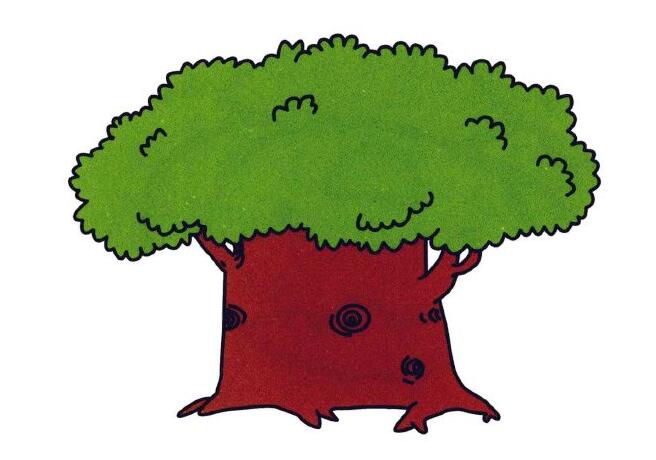 怎么画一棵大树 简笔画大树的画法图片-www.qqscb.com