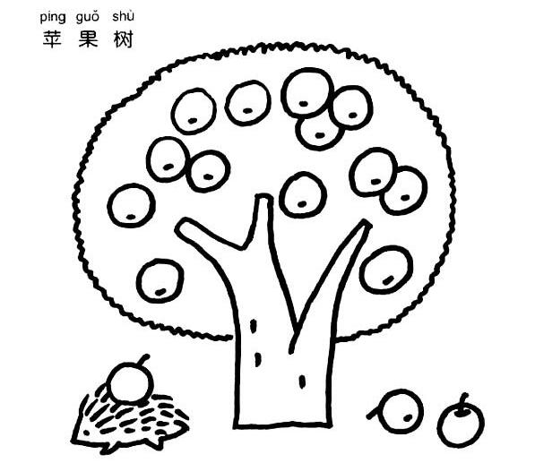 苹果树怎么画 苹果树的画法简笔画图片-www.qqscb.com