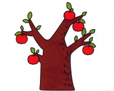 苹果树的画法步骤 简笔画怎么画一棵苹果树