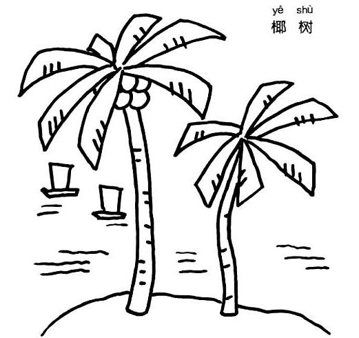 怎么画椰子树 简笔画椰子树的画法图片-www.qqscb.com