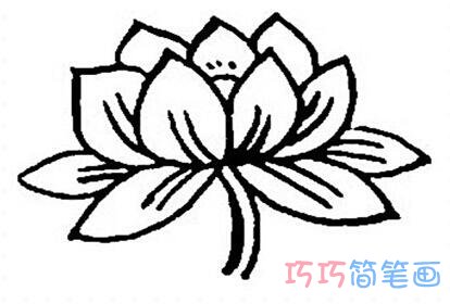 漂亮莲花怎么画 荷花的画法简笔画图片大全