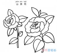 山茶花怎么画 简笔画山茶花的画法步骤图片