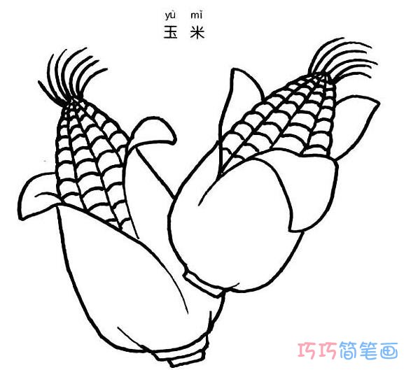 玉米怎么画素描 简笔画玉米的画法图片