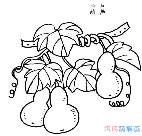 葫芦瓜怎么画 简笔画葫芦的画法图片
