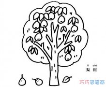 一棵梨树怎么画 简笔画梨树的画法图片步骤
