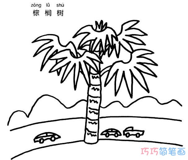 棕榈树怎么画 棕榈树的画法步骤图片