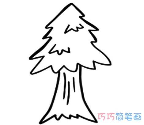 简单松树怎么画 松树的画法简笔画图片