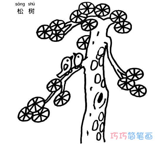 红岩封面松树简笔画图片