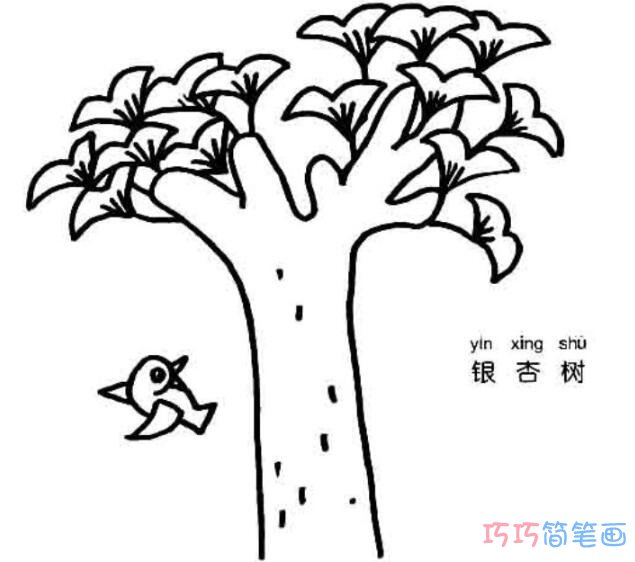 银杏树怎么画 银杏大树的画法简笔画图片