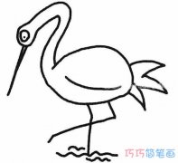 怎么画丹顶鹤图片 简单丹顶鹤的画法步骤