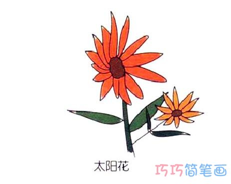 太阳花怎么画步骤 向日葵的画法简笔画图片