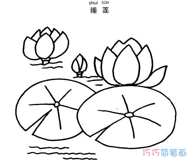 睡莲怎么画步骤 睡莲的画法简笔画图片