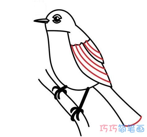 可爱的小鸟怎么画步骤 栖息在树枝上小鸟的画法