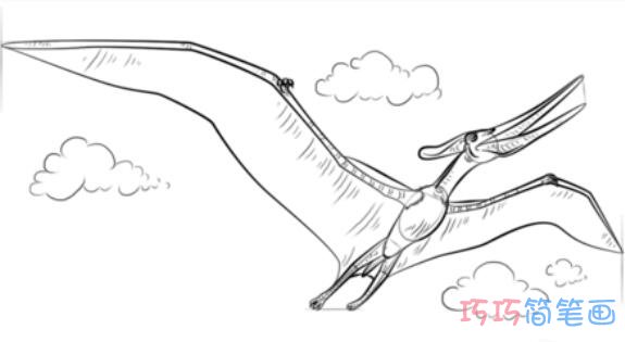 翼龙的画法步骤 卡通翼龙简笔画图片教程