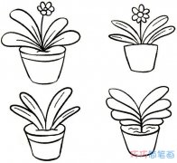 几种漂亮盆栽的画法步骤 盆栽的简笔画图片