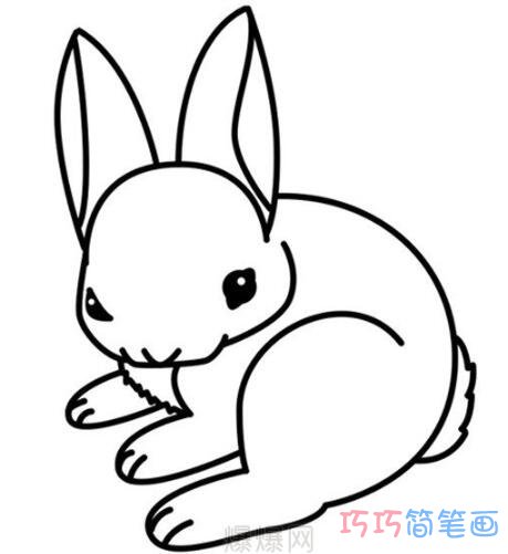 小白兔怎么画步骤 小兔子的画法简笔画图片