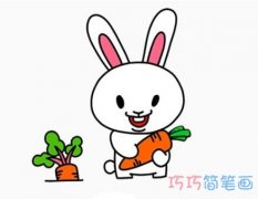 小白兔拔萝卜怎么画 兔子的画法简笔画图片