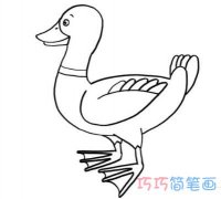 小鸭子怎么画 可爱鸭子的画法简笔画图片