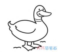 家鸭子的画法图片 鸭子怎么画简笔画图片