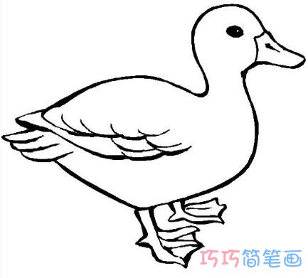 怎么画一只家鸭 简笔画鸭子的画法图片