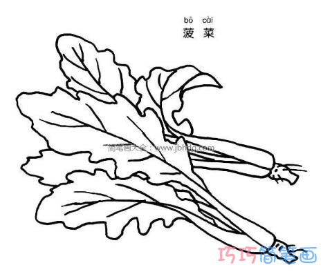 菠菜怎么画 幼儿菠菜的画法简笔画图片