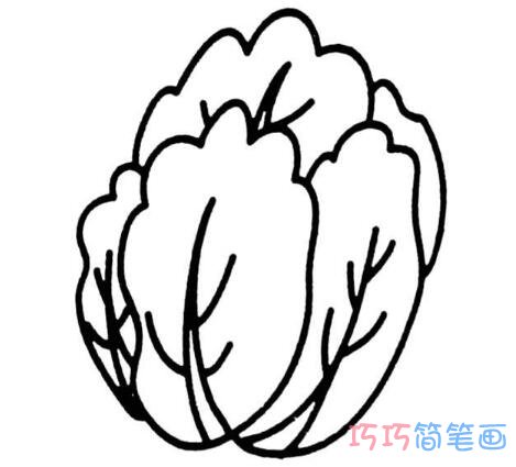 幼儿大白菜的画法图片 如何画一棵大白菜简笔画