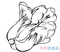 幼儿大白菜的画法图片 如何画一棵大白菜简笔画