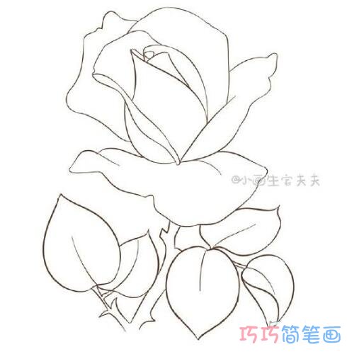 手绘玫瑰花怎么画 玫瑰花的画法图片素描