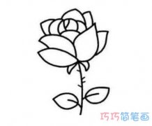 玫瑰花的画法分步骤 怎么画漂亮玫瑰花图片