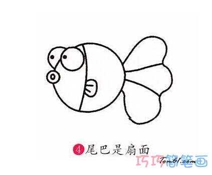 怎么画小金鱼 简单可爱的金鱼简笔画图片
