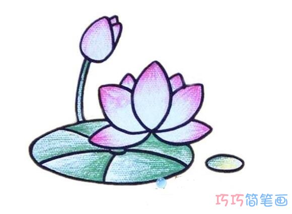 漂亮简单的莲花荷花怎么画 涂色莲花的简笔画