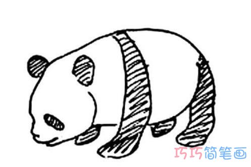 大熊猫的画法 大熊猫的简笔画图片