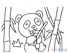 吃竹子的熊猫怎么画 大熊猫的画法步骤