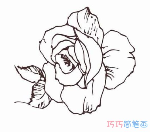 漂亮的玫瑰花怎么画素描_玫瑰花简笔画图片