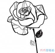 一支漂亮的玫瑰花怎么画_玫瑰花简笔画图片