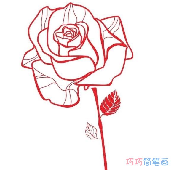 漂亮的玫瑰花怎么画步骤_玫瑰花简笔画图片