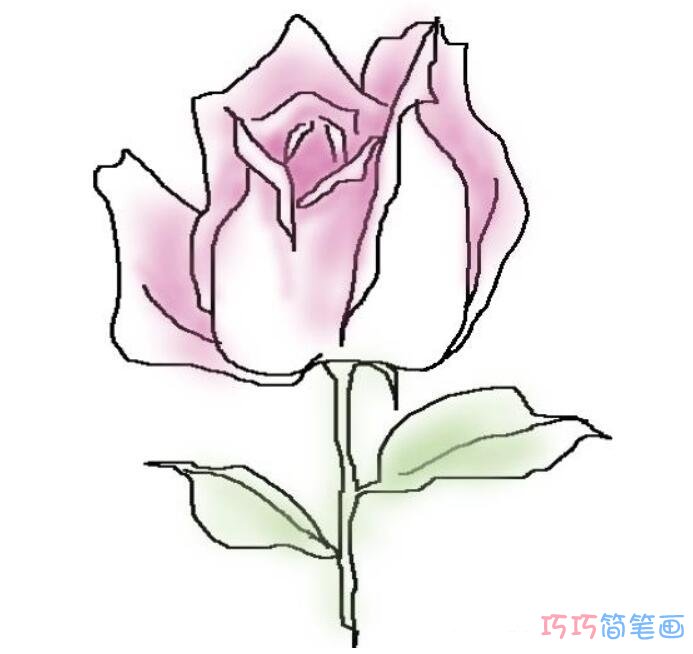 玫瑰花水彩画怎么画_玫瑰花简笔画图片