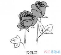 如何画漂亮的玫瑰花卡通图_玫瑰花简笔画图片