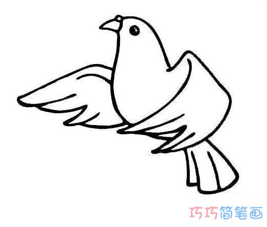 卡通鸽子怎么画简单好看_和平鸽简笔画图片