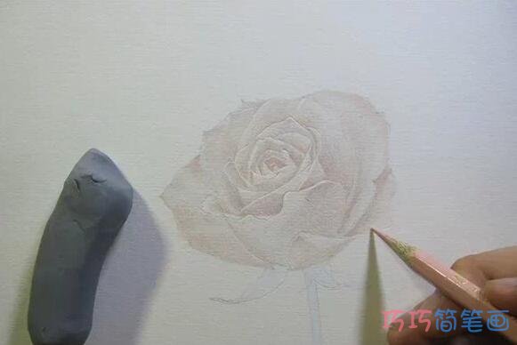 玫瑰花彩铅画步骤图_素描玫瑰花儿童画图片步骤2