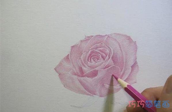 玫瑰花彩铅画步骤图_素描玫瑰花儿童画图片步骤3