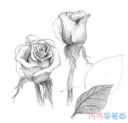 简单玫瑰花的画法素描_玫瑰花的简笔画图片